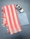 MG 620 Linen With Silver Jari Border Printed Bulk Saree Orders In India
